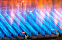 Geisiadar gas fired boilers